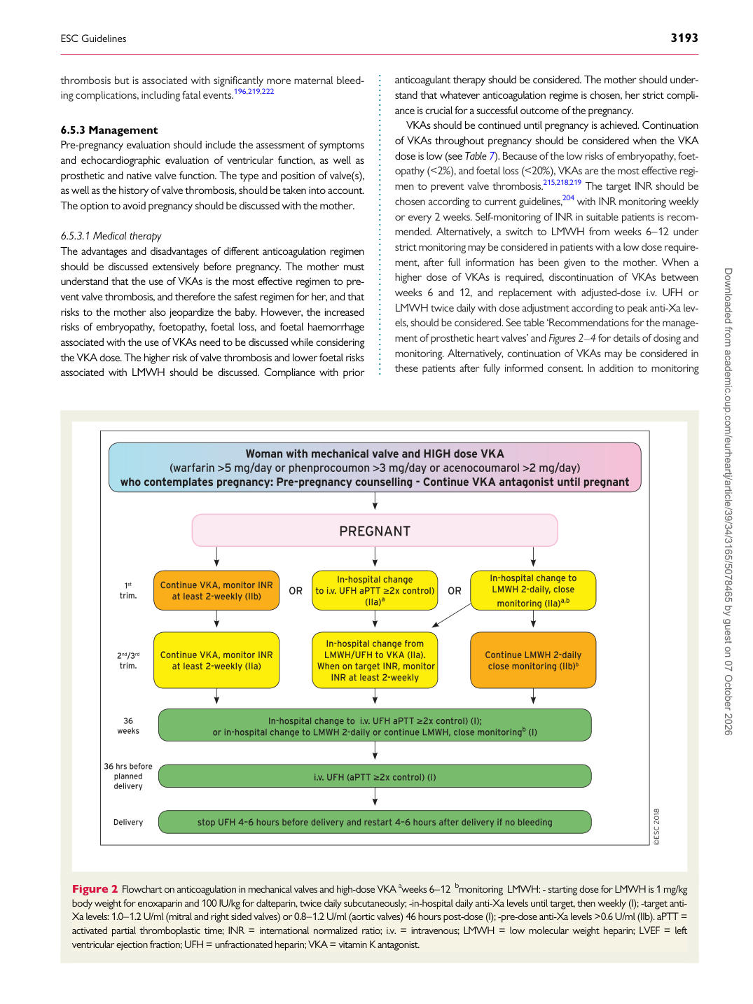 p.29