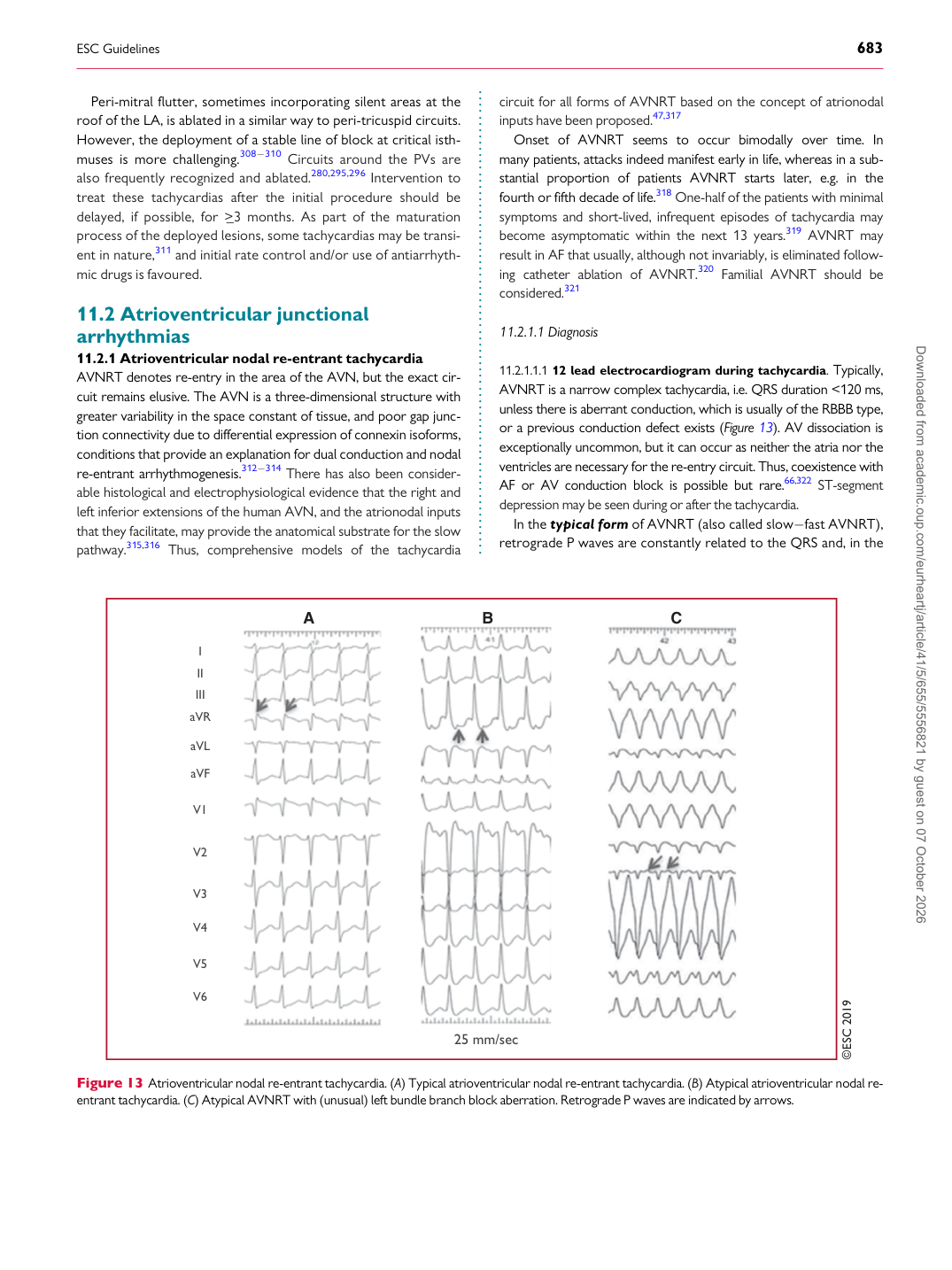 p.29