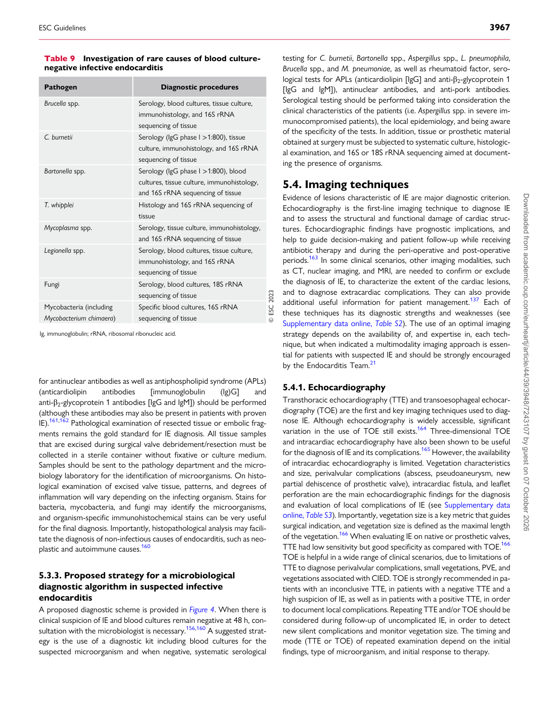 p.20