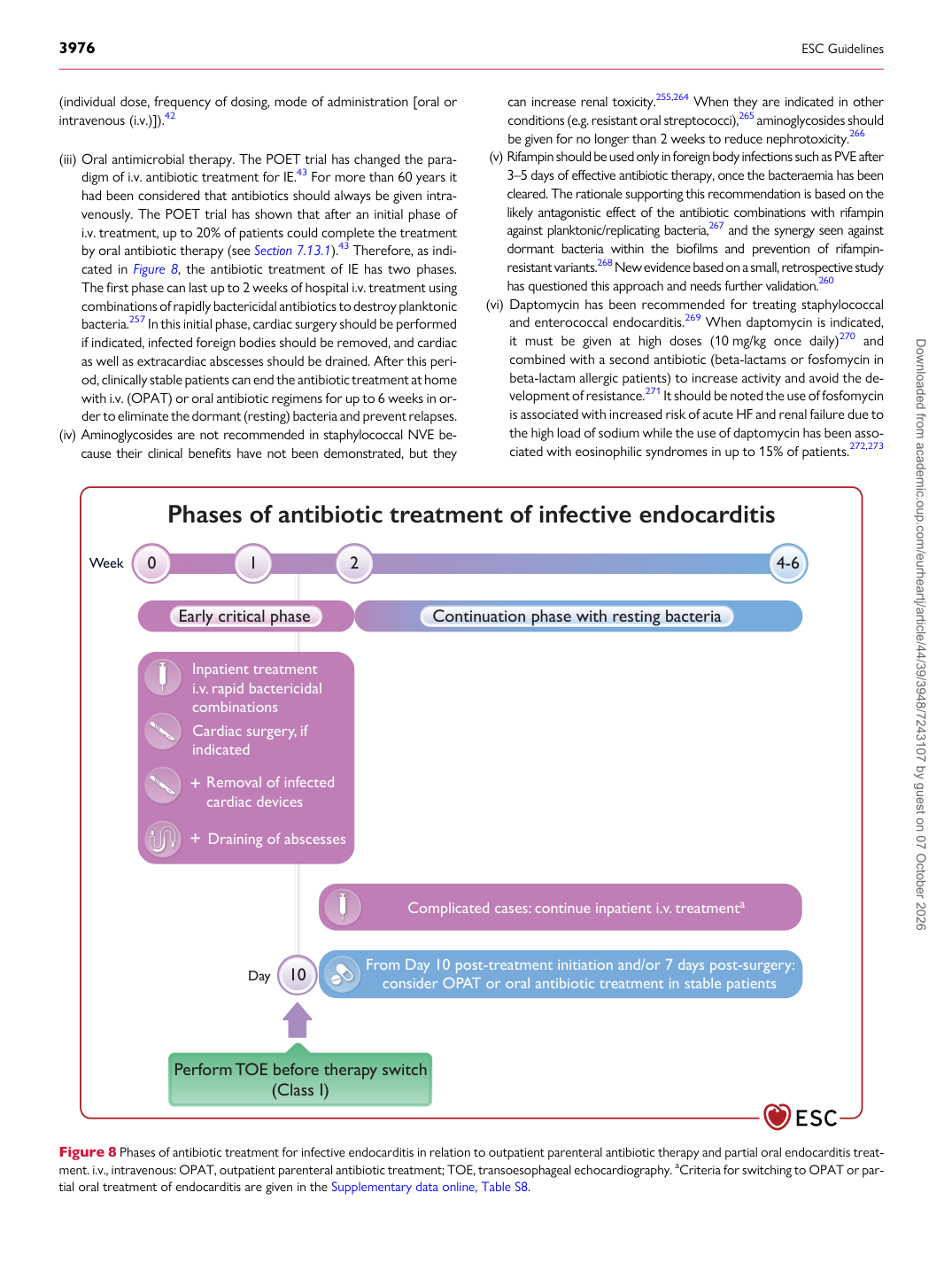 p.29