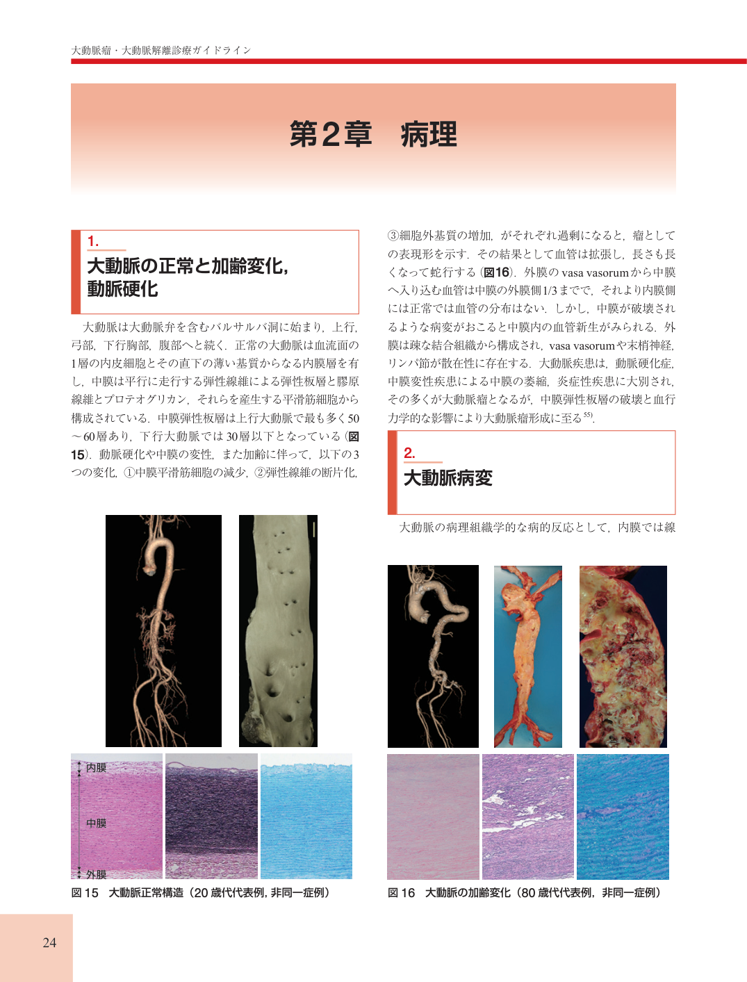 p.24