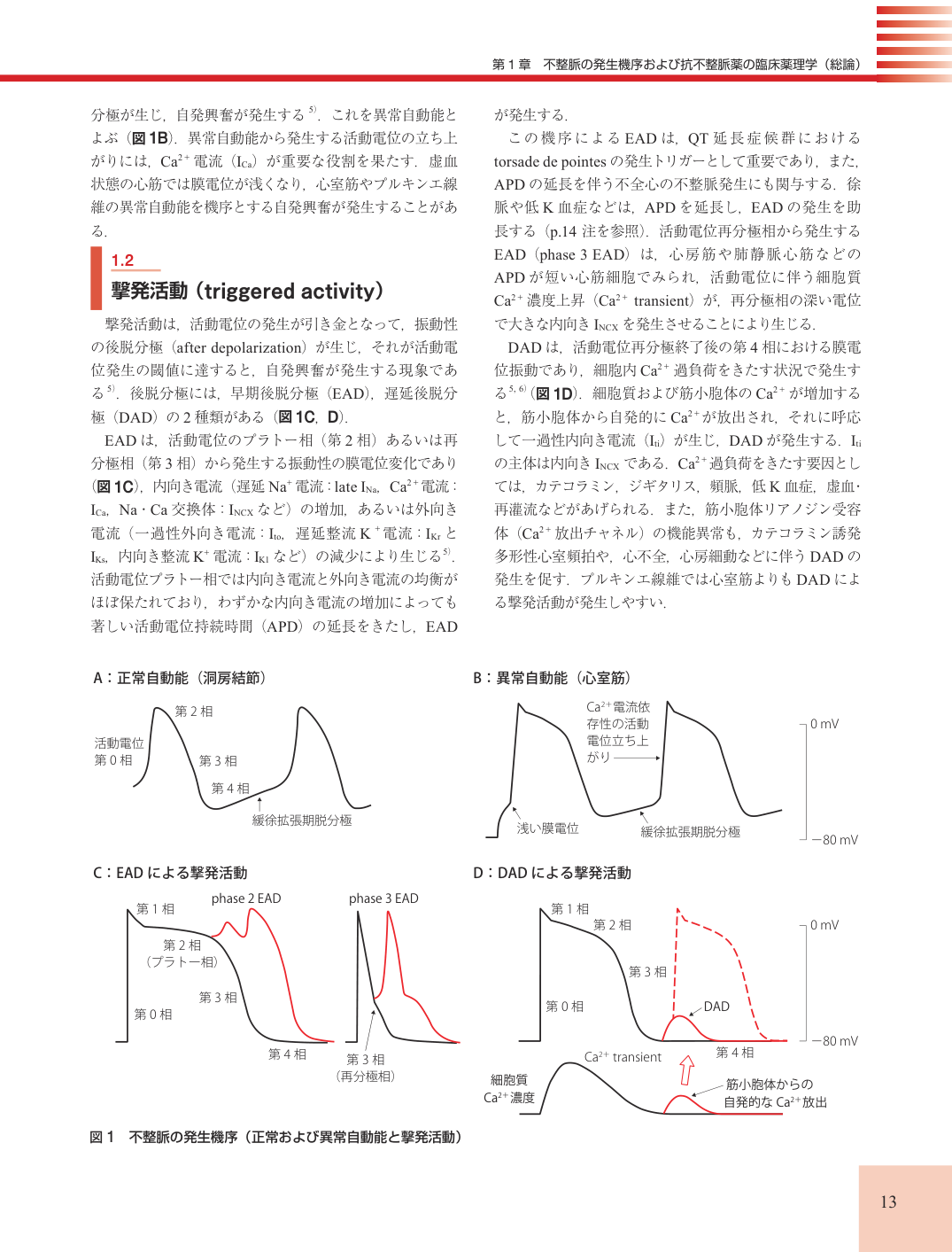 p.13