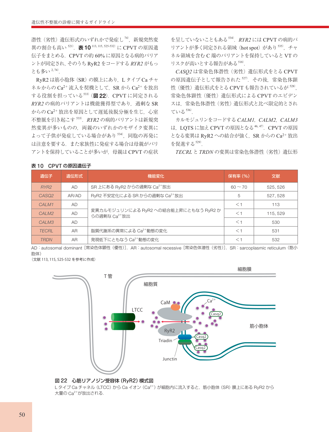 p.50