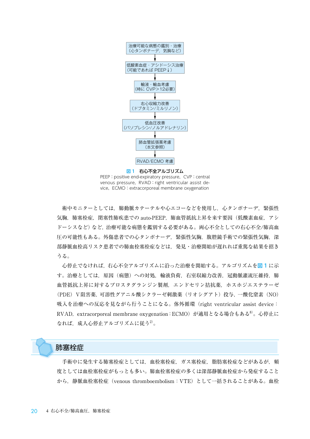 p.20