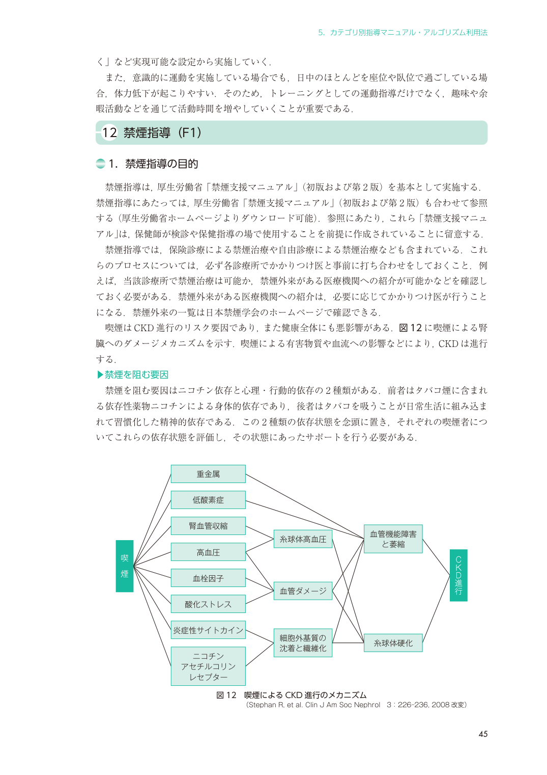 p.53