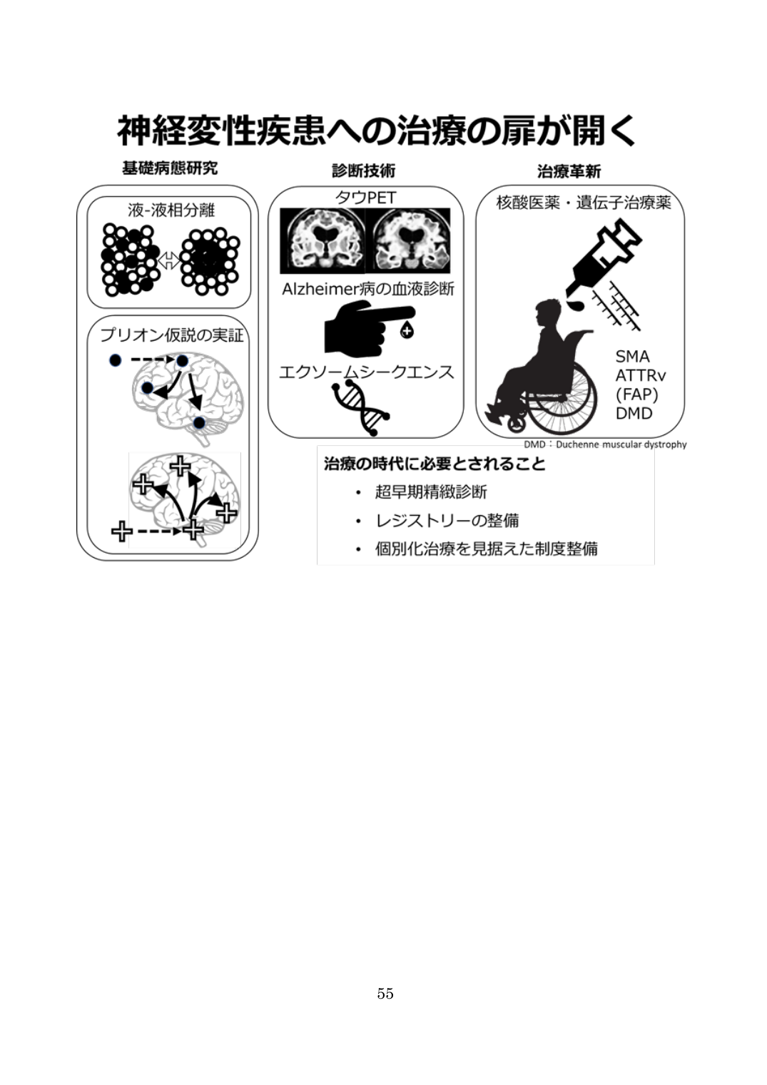 p.55