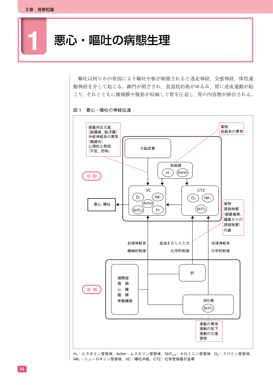 p.26