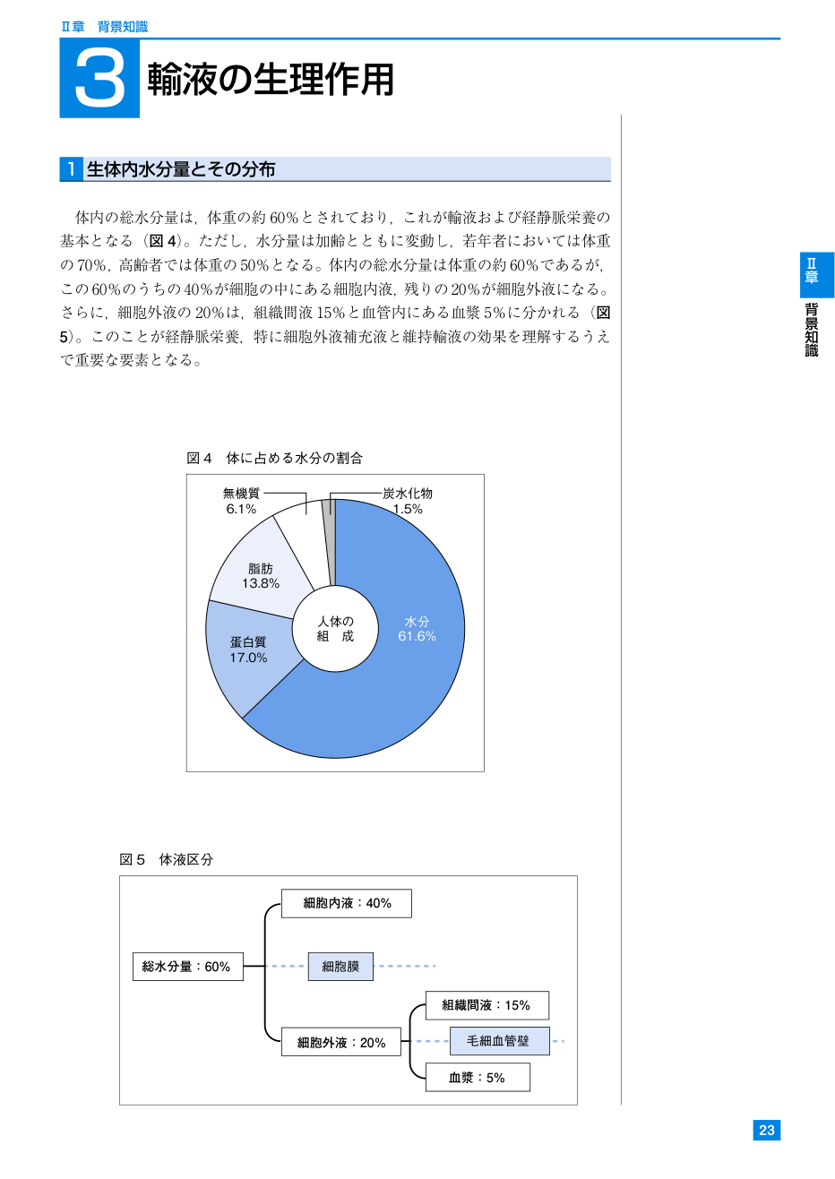 p.31