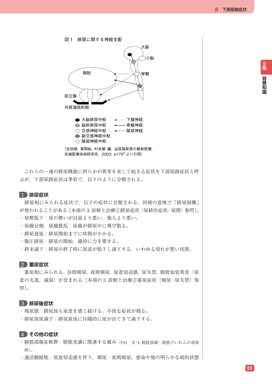 p.31